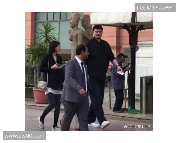 韩国空姐姚明的职业生涯与个人魅力揭秘引发热议