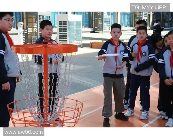 飞盘运动的魅力南京飞盘队如何通过团队协作实现卓越表现 飞盘运动的魅力南京飞盘队如何通过团队协作实现卓越表现